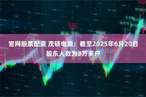 官网股票配资 茂硕电源：截至2025年6月20日股东人数为3万多户